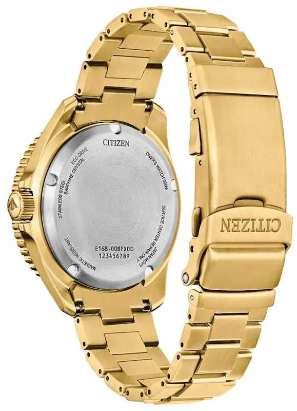 Laikrodis Citizen Promaster Marine Eco-Drive BN0262-59W