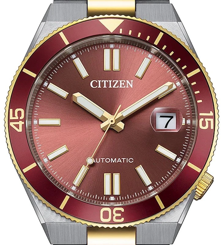 Laikrodis Citizen Tsuyosa Automatic NJ0234-58X
