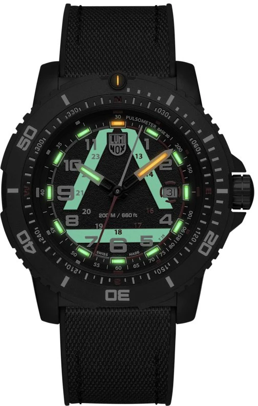 Laikrodis Luminox ICE-SAR XL.1081