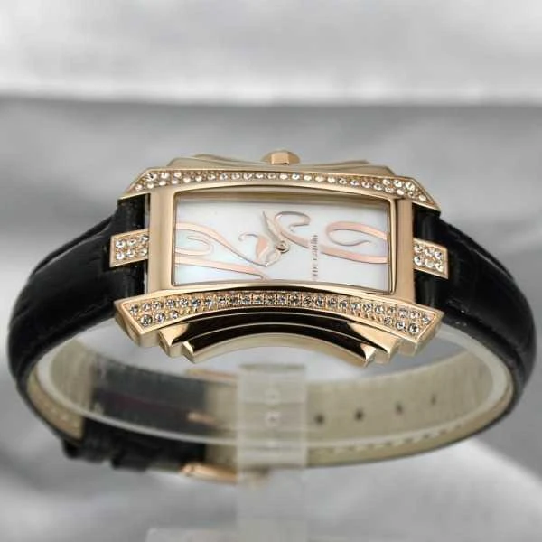 Laikrodis Pierre Cardin PC106022F06