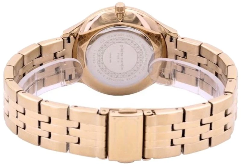 Laikrodis Pierre Cardin PC902711F120