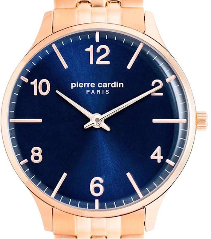 Laikrodis Pierre Cardin PC902722F117