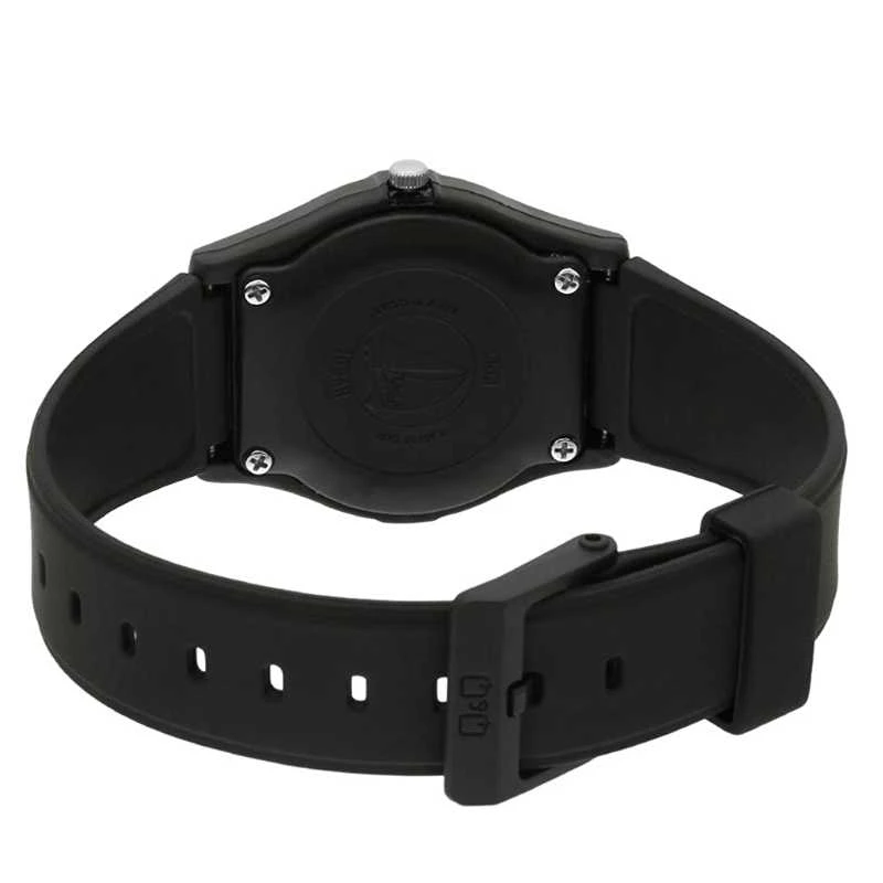 Laikrodis Q&Q VQ04J011Y