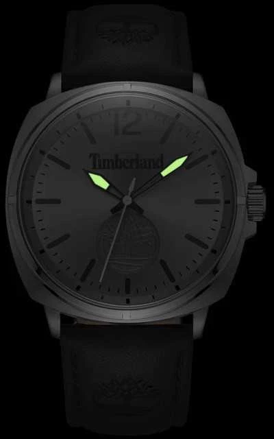 Laikrodis Timberland Williston TDWGA0010602