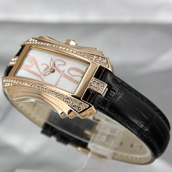 Laikrodis Pierre Cardin PC106022F06
