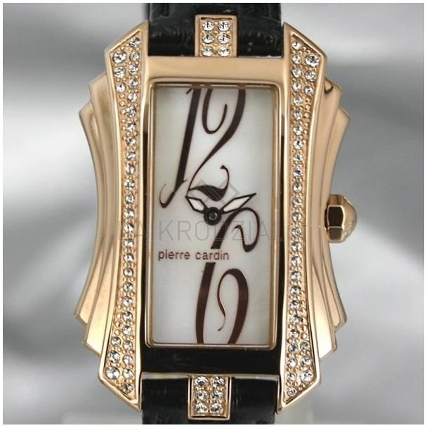 Laikrodis Pierre Cardin PC106022F06