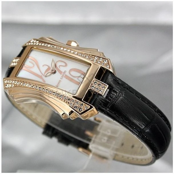 Laikrodis Pierre Cardin PC106022F06