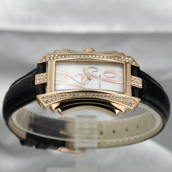 Laikrodis Pierre Cardin PC106022F06