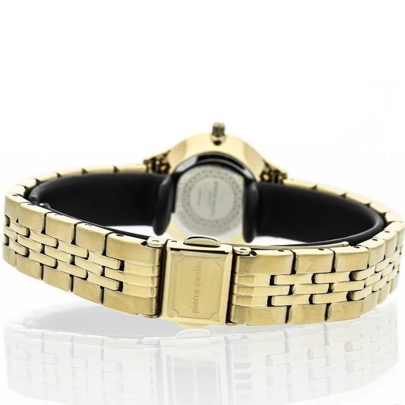 Laikrodis Pierre Cardin PC902682F305