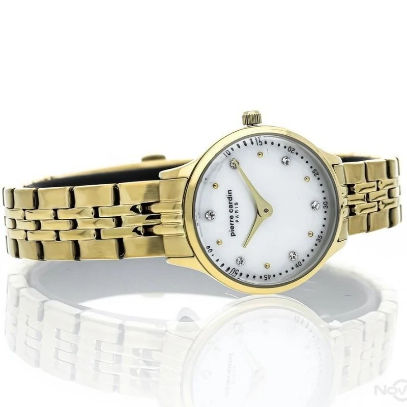 Laikrodis Pierre Cardin PC902682F305