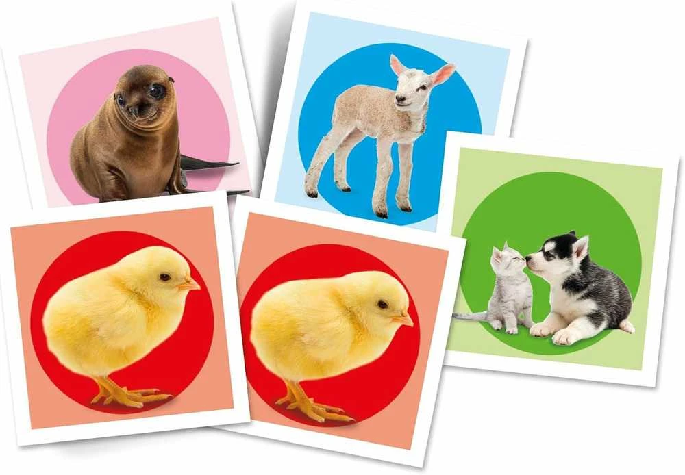 Dėlionė Clementoni atminties žaidimas Memo "Baby Animals"