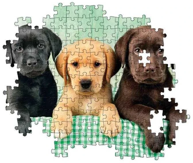 Clementoni dėlionė „Three Labs“ 1000 detalių