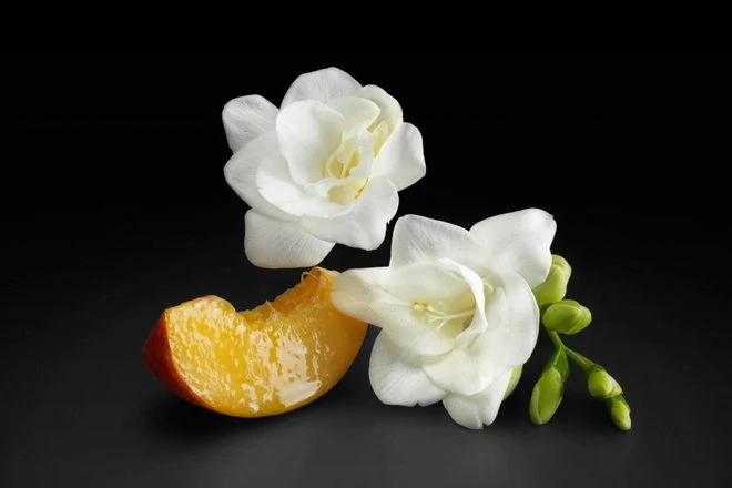 RINKINYS Boss The Scent For Her by Hugo Boss EDP 50ml, kūno losjonas 50ml ir EDP miniatiūra 7.4ml aprašymas - Prekės nuotrauka