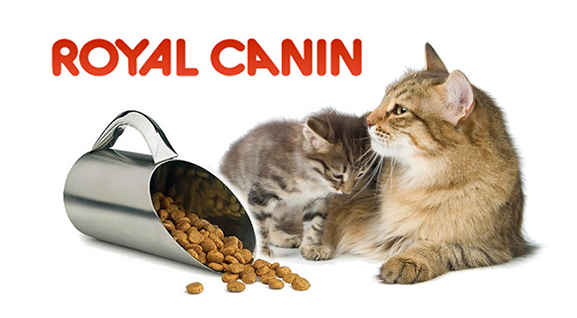 Royal Canin katems