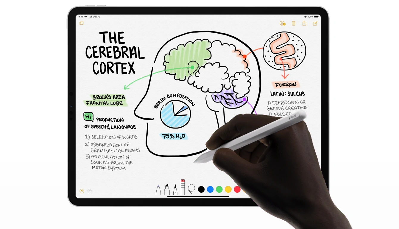 Apple Pencil (2nd Generation) - MXN43ZM/A aprašymas - Prekės nuotrauka Apple Pencil (2nd Generation) - MXN43ZM/A aprašymas - Prekės nuotrauka