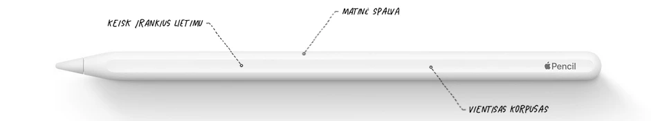 Apple Pencil (2nd Generation) - MXN43ZM/A aprašymas - Prekės nuotrauka Apple Pencil (2nd Generation) - MXN43ZM/A aprašymas - Prekės nuotrauka