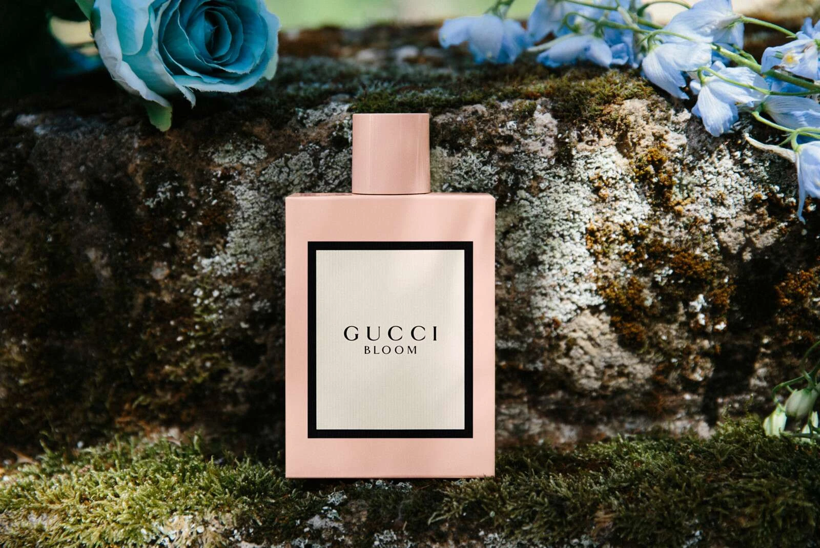 Kvepalų rinkinys moterims Gucci Bloom (EDP 50 ml + parfumuotas kūno losjonas 50 ml) aprašymas - Prekės nuotrauka