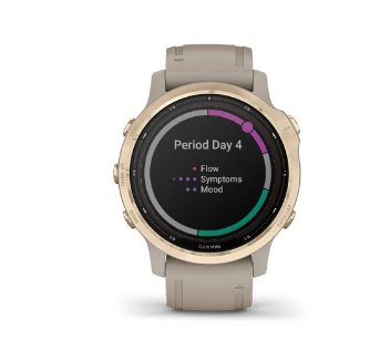 Išmanusis laikrodis Garmin fenix 6S Solar, Sidabro spalvos su juodu  dirželiu | Varle.lt