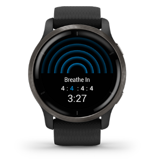 Išmanusis laikrodis Garmin Venu 2, Skalūno spalvos nerūdijančiojo plieno apvadas, su juodu korpusu ir silikoniniu dirželiu aprašymas - Prekės nuotrauka
