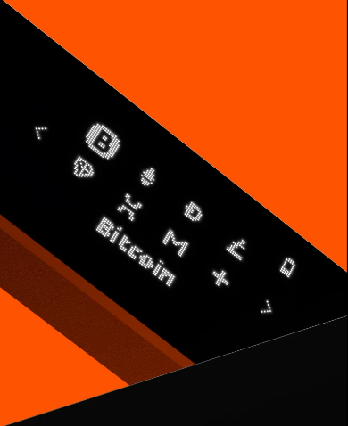 Ledger Nano X kriptovaliutų piniginė aprašymas - Prekės nuotrauka