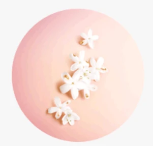 Lancome Idole Aura EDP parfumuotas vanduo moterims, 25 ml aprašymas - Prekės nuotrauka