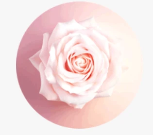 Lancome Idole Aura EDP parfumuotas vanduo moterims, 25 ml aprašymas - Prekės nuotrauka