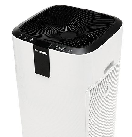 Oro valytyvas Toshiba CAF-X116XPL, 84 m² aprašymas - Prekės nuotrauka
