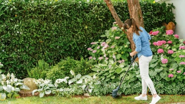 Bosch elektrinė žoliapjovė EasyGrassCut 23 280W aprašymas - Prekės nuotrauka