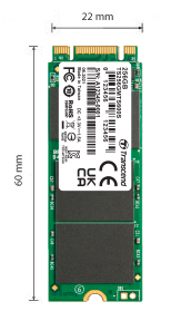 Vidinis kietasis diskas SSD Transcend's 32GB SATA III 6Gb/s M.2 SSD 600S aprašymas - Prekės nuotrauka
