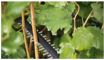 Akumuliatorinės gyvatvorių žirklės Bosch Universal HedgeCut 18-55 aprašymas - Prekės nuotrauka