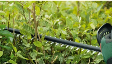 Bosch gyvatvorių žirklės UniversalHedgeCut 18-50, 18V, 1x2,5Ah aprašymas - Prekės nuotrauka Bosch gyvatvorių žirklės UniversalHedgeCut 18-50, 18V, 1x2,5Ah aprašymas - Prekės nuotrauka