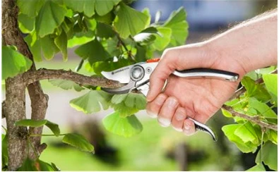 Gardena Aukščiausios klasės sekatorius 