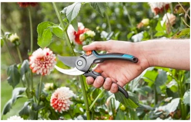Sodo sekatorius Gardena B/S-M 8857-20 (967048001) aprašymas - Prekės nuotrauka