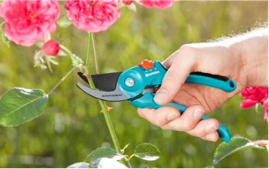 Sodo sekatorius Gardena B/S-M 8857-20 (967048001) aprašymas - Prekės nuotrauka