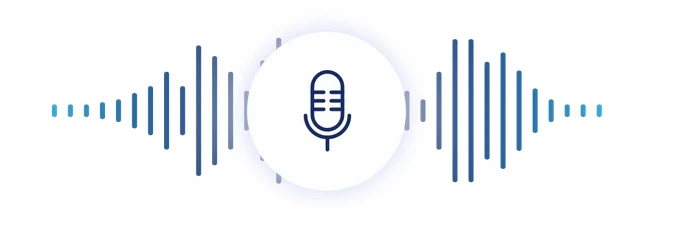 Netatmo Smart lauko kamera aprašymas - Prekės nuotrauka
