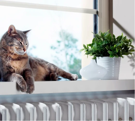 Netatmo Welcome išmanioji vidaus apsaugos kamera aprašymas - Prekės nuotrauka