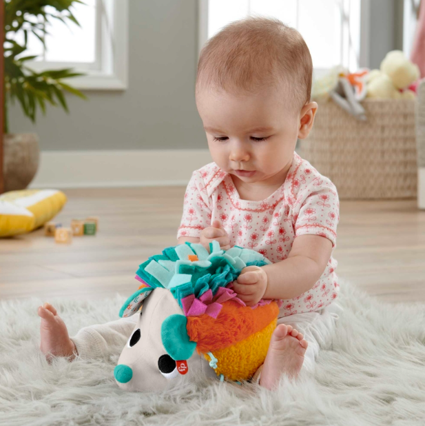 Fisher Price pliušinis ežiukas aprašymas - Prekės nuotrauka