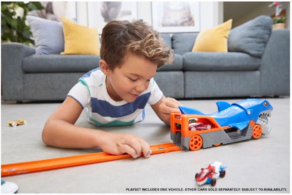 Mattel Hot Wheels „Ryklys transporteris“ aprašymas - Prekės nuotrauka
