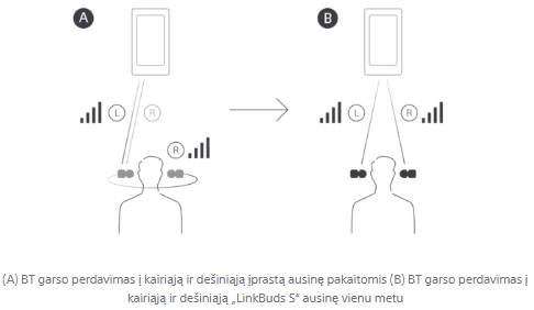 Ausinės Sony LinkBuds S WF-LS900N, Baltos spalvos aprašymas - Prekės nuotrauka