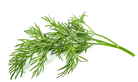 Click and Grow 3 vnt. papildymas - krapų sėklos aprašymas - Prekės nuotrauka