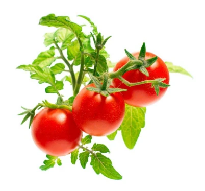 Click And Grow Click & Grow Smart Garden papildymas Mini Tomato 3vnt aprašymas - Prekės nuotrauka