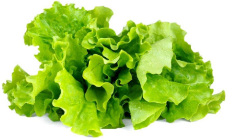 Click And Grow Click & Grow Click & Grow Smart Garden pildomas salotos 3vnt aprašymas - Prekės nuotrauka
