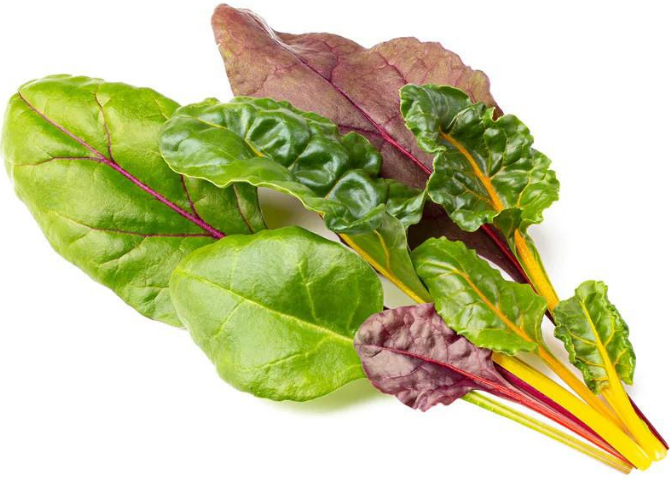 Click And Grow Click & Grow sėklos išmaniajam vazonui - Mangoldai (Rainbow Chard), 3vnt. aprašymas - Prekės nuotrauka