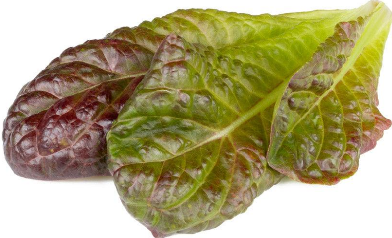 Click And Grow Click & Grow sėklos išmaniajam vazonui - Raudonosios romaninės salotos, 3vnt. aprašymas - Prekės nuotrauka