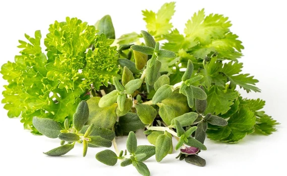 Click & Grow sėklos išmaniajam vazonui - Žolelės mėsai, 9vnt. aprašymas - Prekės nuotrauka