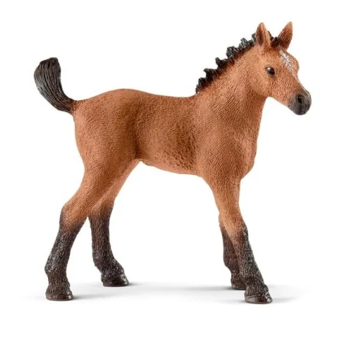 Schleich figūrėlė Kumeliukas aprašymas - Prekės nuotrauka