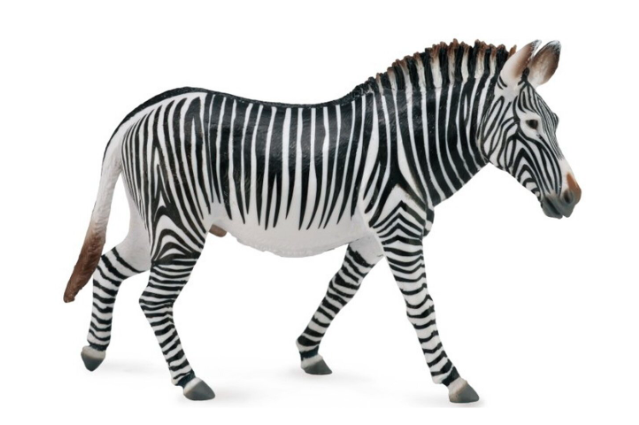Collecta Figūrėlė Grevy's veislės zebras (XL) aprašymas - Prekės nuotrauka