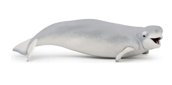 Papo figūrėlė Baltasis delfinas aprašymas - Prekės nuotrauka