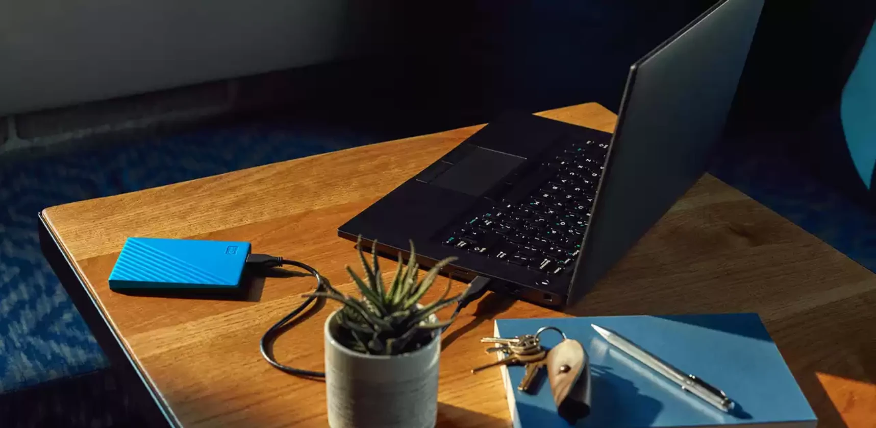 Išorinis kietasis diskas HDD Western Digital My Passport, 5TB aprašymas - Prekės nuotrauka