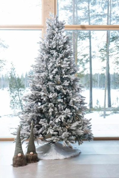 Winteria Dirbtinė eglutė Premium, žalia su baltu sniegu, 110x110x180 cm aprašymas - Prekės nuotrauka